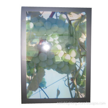 Single Face LED Light Box with Aluminum Frame, Super Slim 50mm, Energy-saving LED Light Source